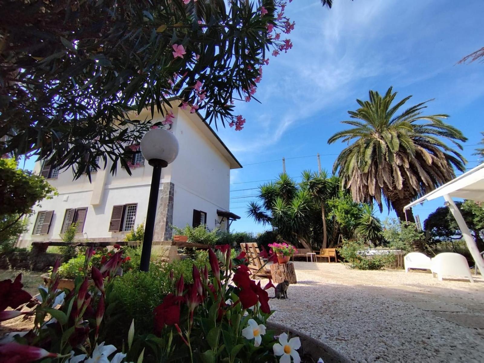 Bed and Breakfast La Domus Di Cosa Ansedónia Exterior foto